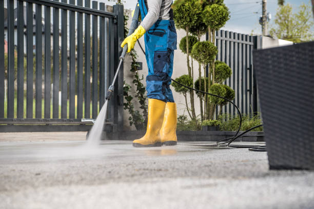Best Roof Cleaning and Mildew Removal in Palatine, IL