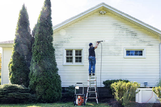 Best Window and Screen Pressure Cleaning in Palatine, IL